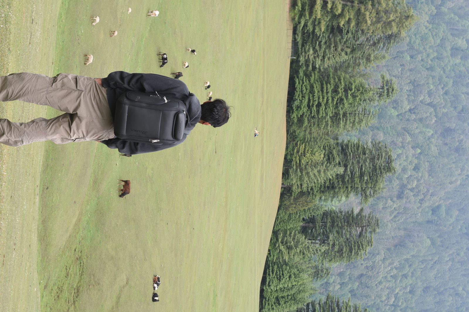 Shangarh meadows